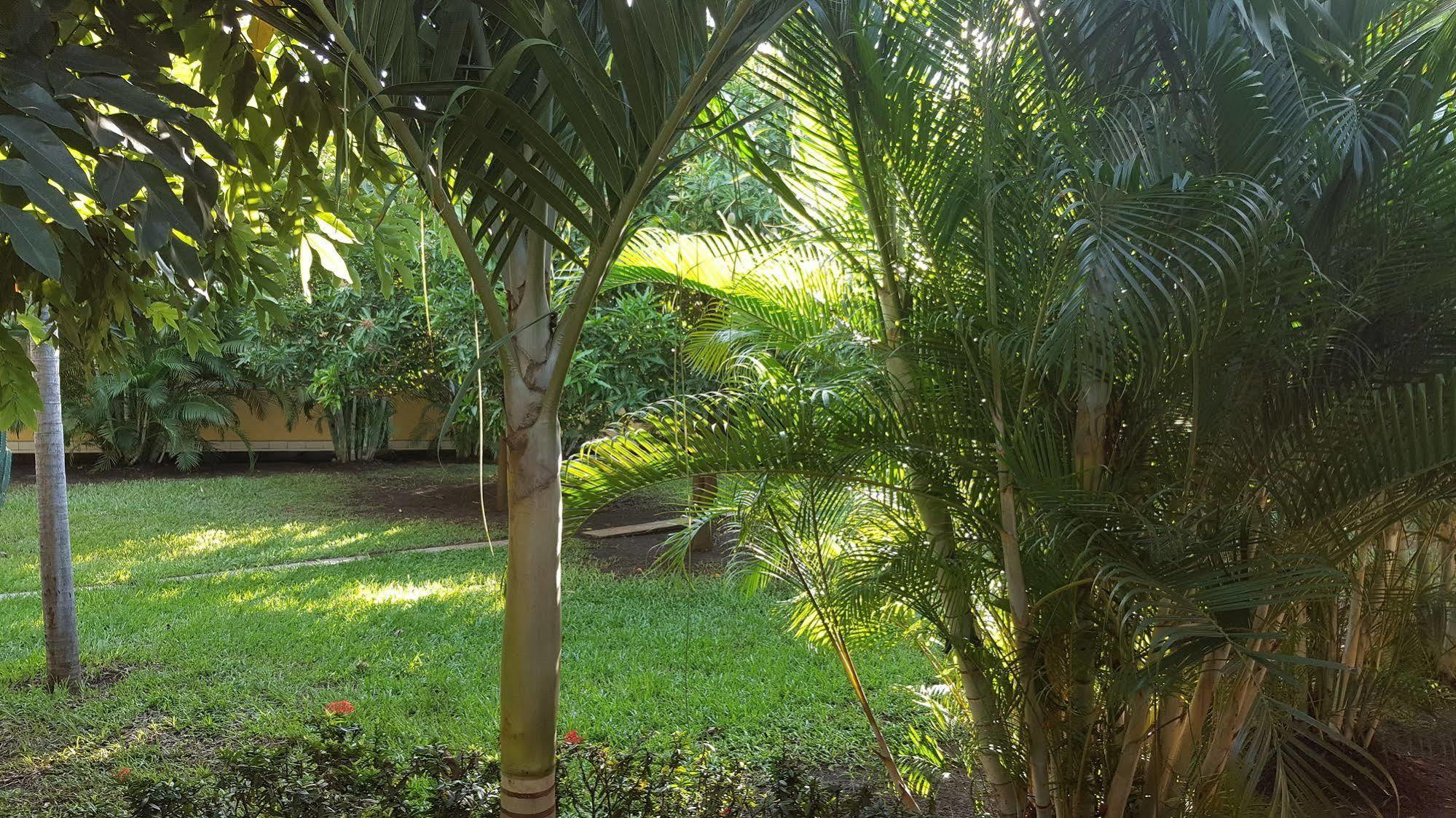 Hotel La Arboleda Манагуа Екстер'єр фото